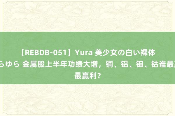 【REBDB-051】Yura 美少女の白い裸体 さくらゆら 金属股上半年功绩大增，铜、铝、钼、钴谁最赢利？