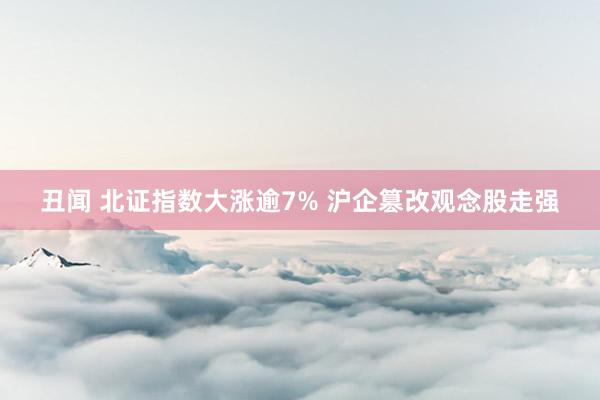 丑闻 北证指数大涨逾7% 沪企篡改观念股走强