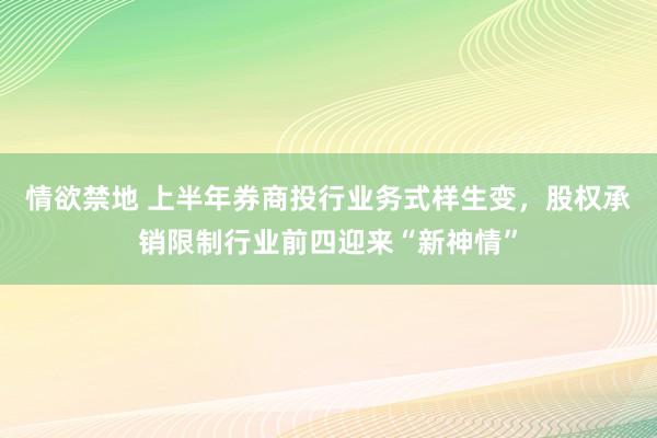 情欲禁地 上半年券商投行业务式样生变，股权承销限制行业前四迎来“新神情”