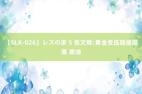 【SLX-026】レズの家 5 张文辉:黄金受压链接回落 原油