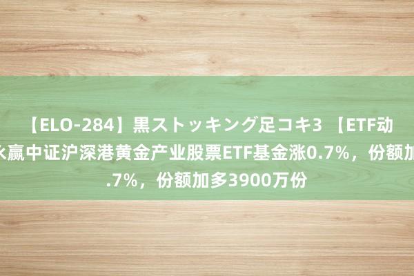 【ELO-284】黒ストッキング足コキ3 【ETF动向】8月7日永赢中证沪深港黄金产业股票ETF基金涨0.7%，份额加多3900万份