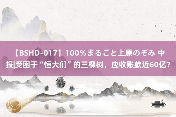 【BSHD-017】100％まるごと上原のぞみ 中报|受困于“恒大们”的三棵树，应收账款近60亿？