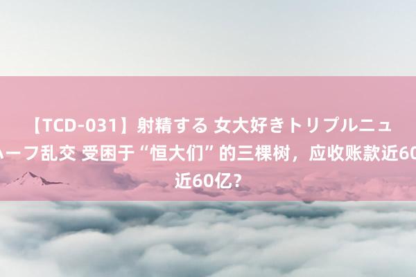 【TCD-031】射精する 女大好きトリプルニューハーフ乱交 受困于“恒大们”的三棵树，应收账款近60亿？