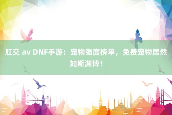 肛交 av DNF手游：宠物强度榜单，免费宠物居然如斯渊博！