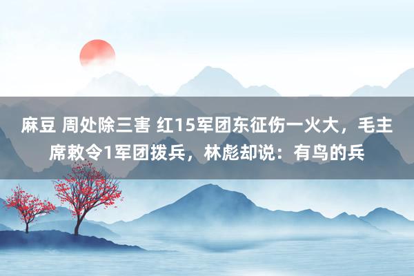 麻豆 周处除三害 红15军团东征伤一火大，毛主席敕令1军团拨兵，林彪却说：有鸟的兵