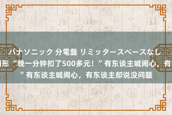 パナソニック 分電盤 リミッタースペースなし 露出・半埋込両用形 “晚一分钟扣了500多元！”有东谈主喊闹心，有东谈主却说没问题