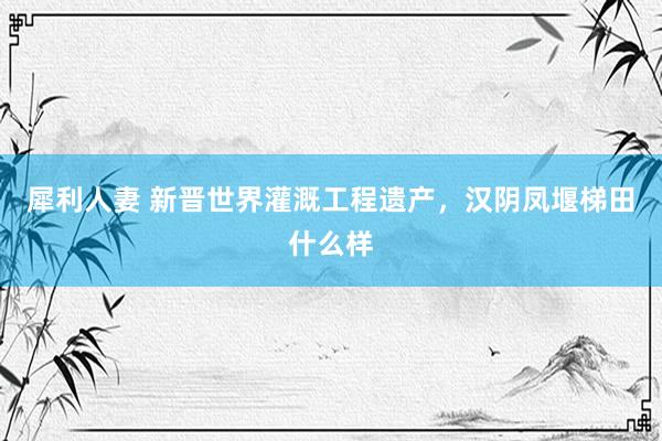 犀利人妻 新晋世界灌溉工程遗产，汉阴凤堰梯田什么样