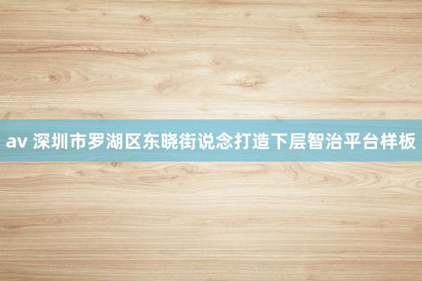 av 深圳市罗湖区东晓街说念打造下层智治平台样板