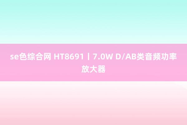 se色综合网 HT8691丨7.0W D/AB类音频功率放大器