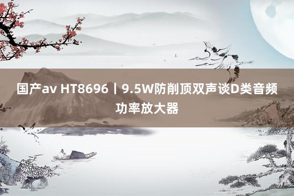 国产av HT8696丨9.5W防削顶双声谈D类音频功率放大器