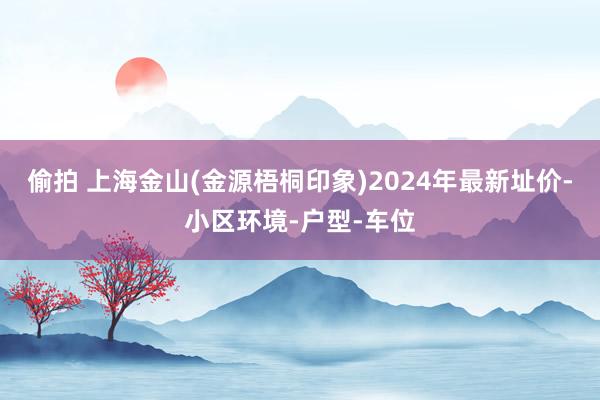 偷拍 上海金山(金源梧桐印象)2024年最新址价-小区环境-户型-车位