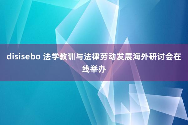 disisebo 法学教训与法律劳动发展海外研讨会在线举办